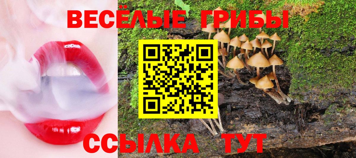 Псилоцибиновые грибы GOLDEN TEACHER Тольятти