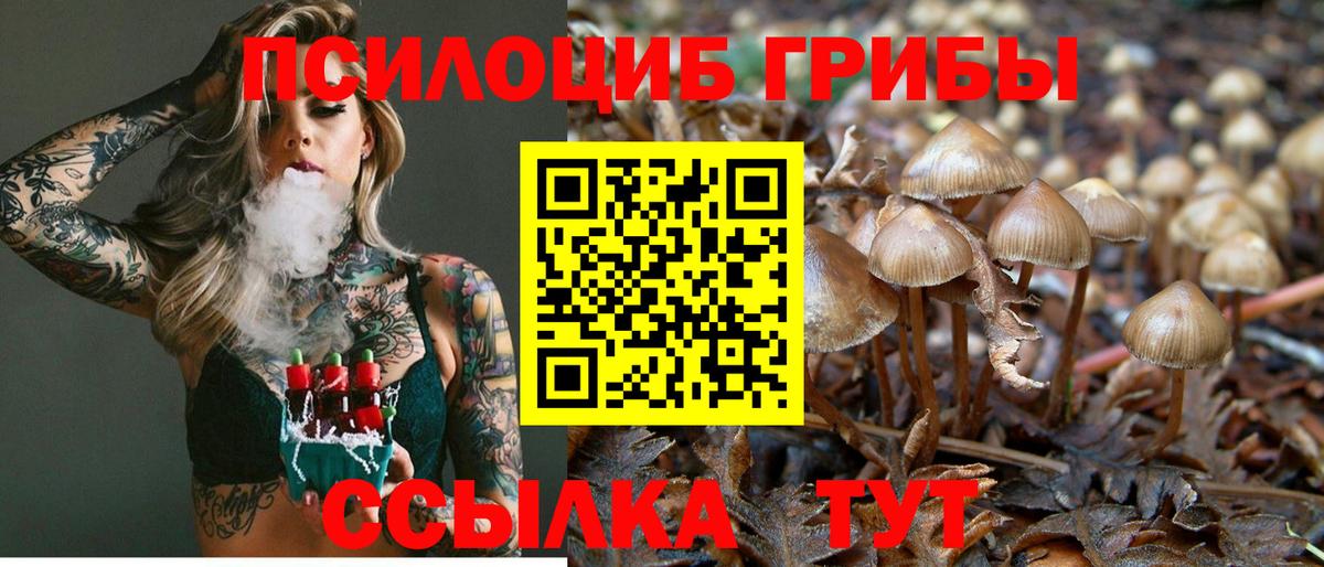 дарнет шоп  Вход с VPN  Псилоцибиновые грибы мухоморы  Тольятти  Галлюциногенные грибы MAGIC MUSHROOMS 